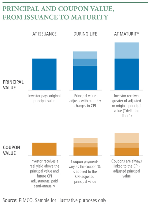 Principal and Coupon Value, From Issuance to Maturity